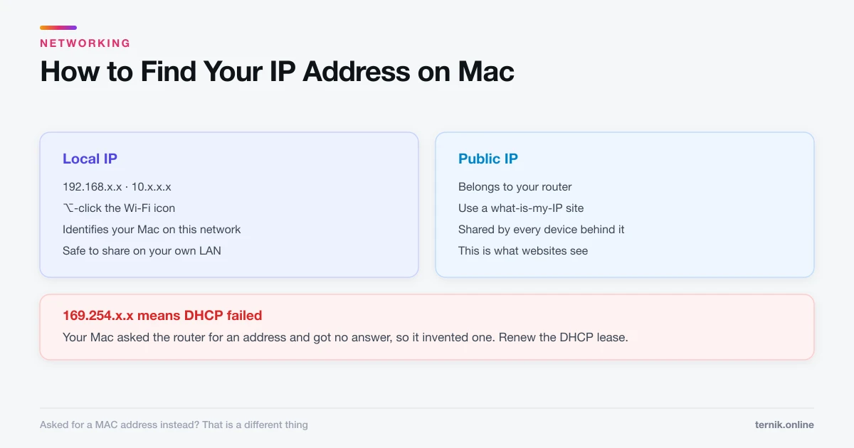 How to Find Your IP Address on Mac (Local and Public)